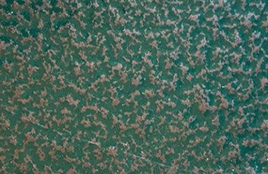 6005 RAB Verde Ramato